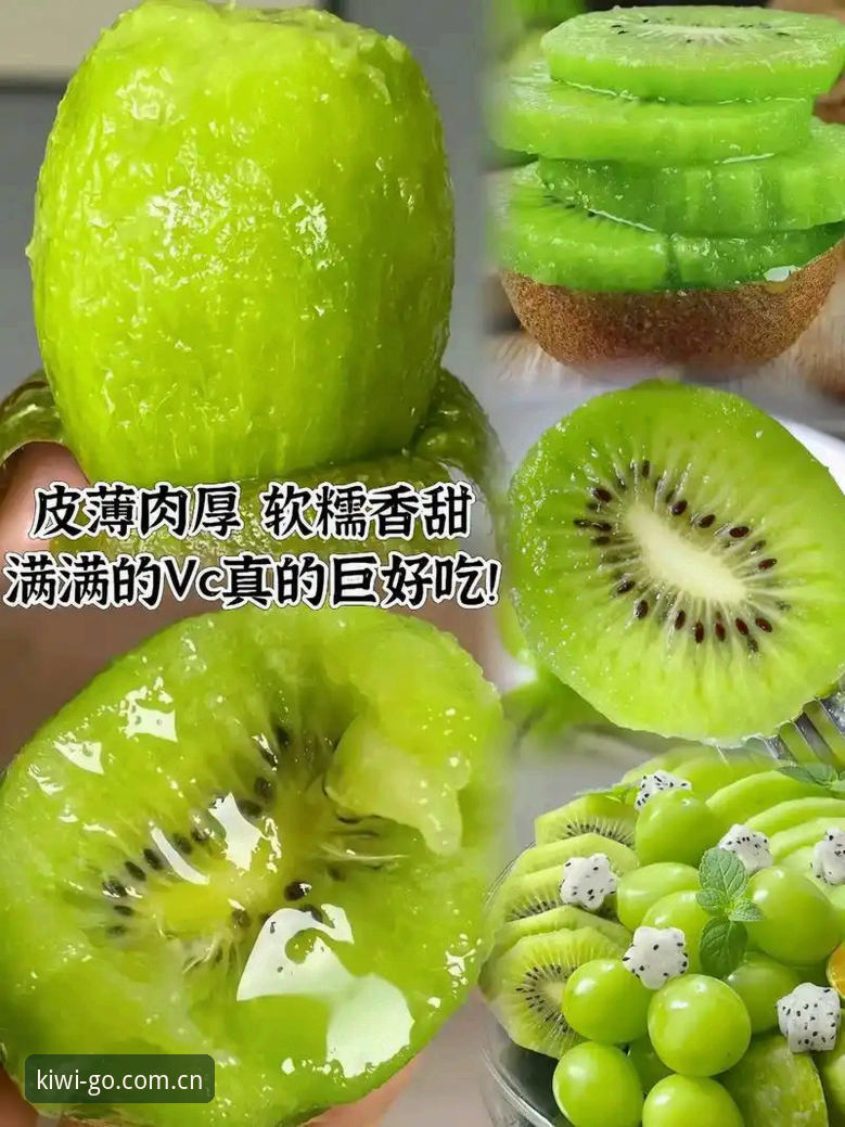 奇异果体育下载实用指南：官网地址获取与版本对比分析