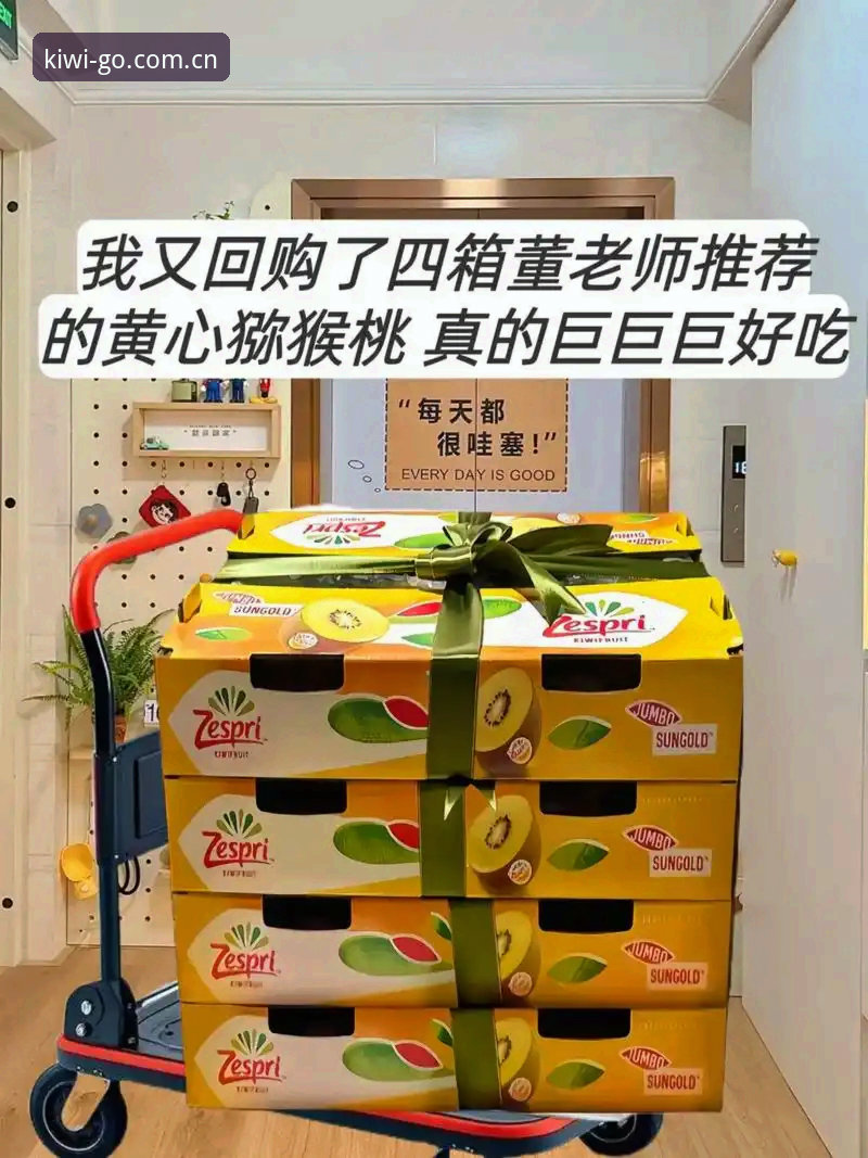 奇异果体育入口安全吗？2025年最新动态与深度安全评估报告