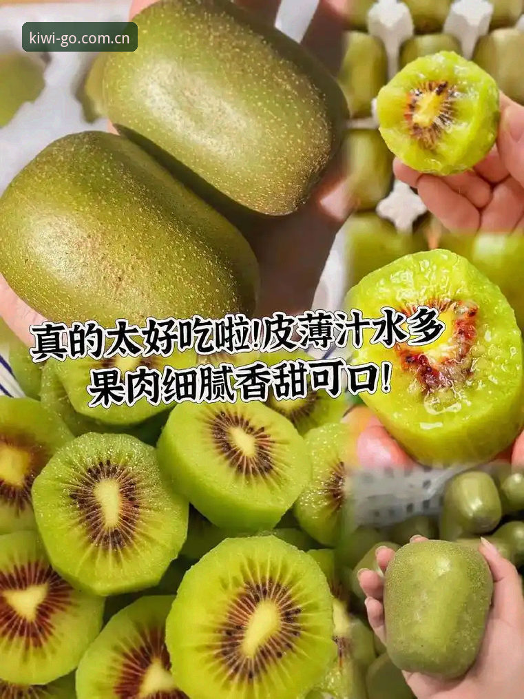 奇异果体育APP 奇异果体育下载实用指南:掌握体育观赛新体验的必备知识