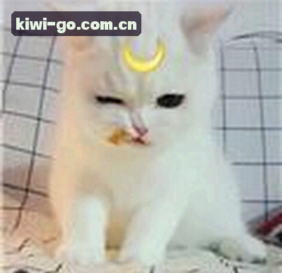 王教练